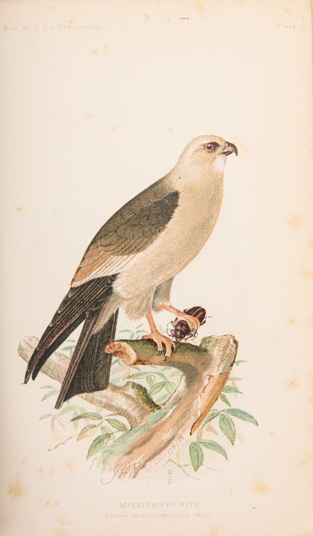 Lot 93: 3 Bird Books: Birds of NE and PA, Hawks and Owls