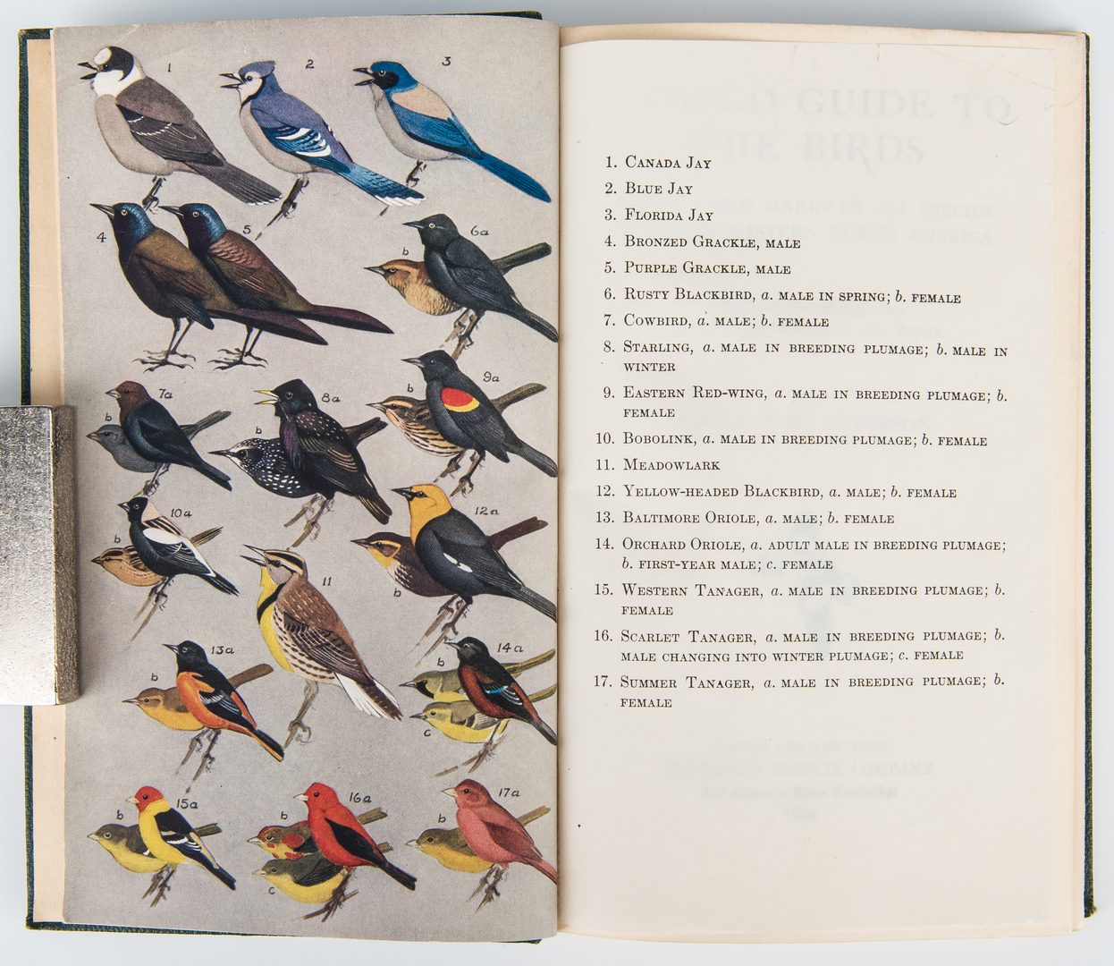 Lot 95: R. T. Peterson, Field Guide to Birds, 1st State, 1934