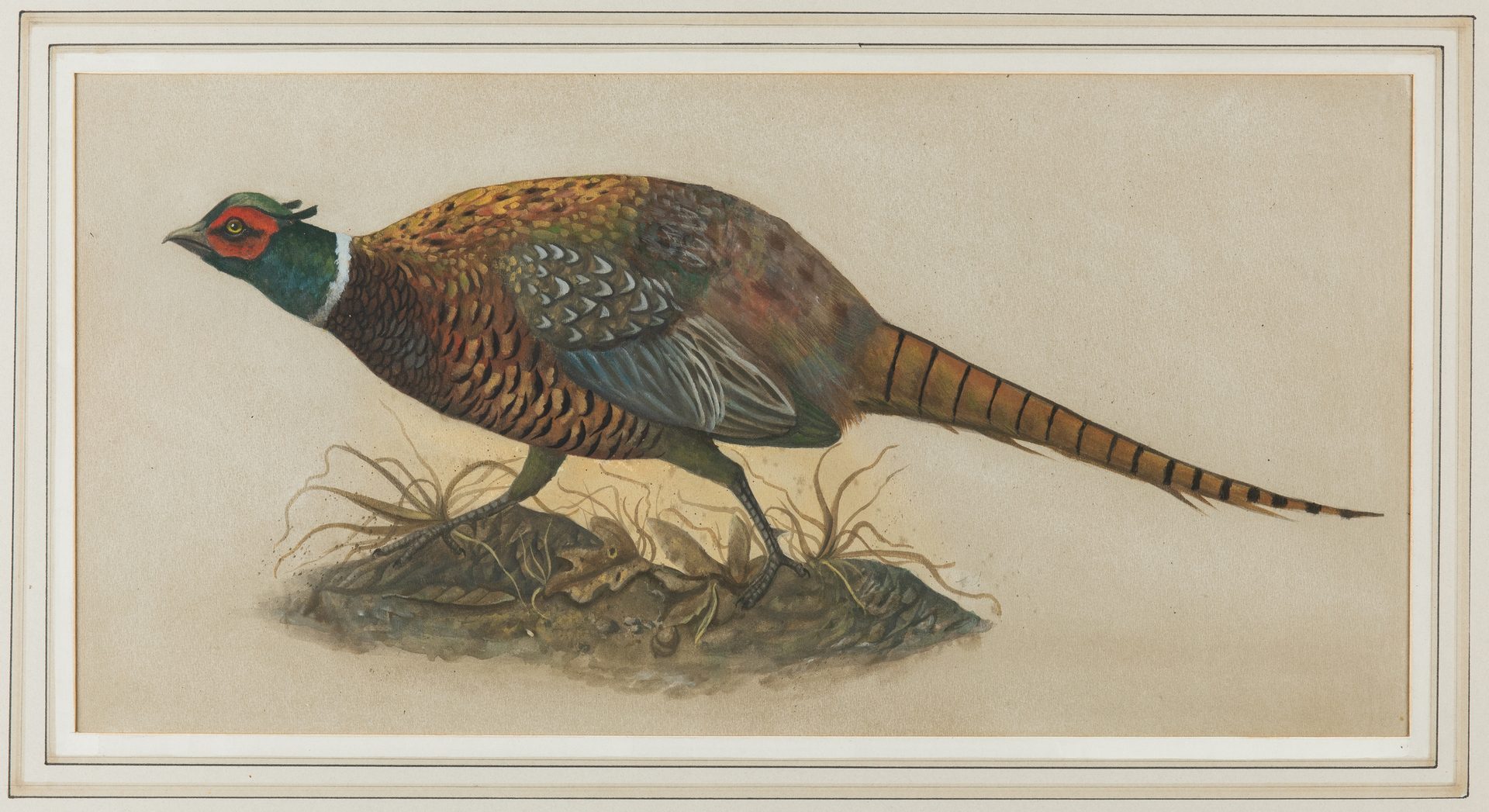 Lot 427: Werner Wildner Watercolor, Pheasant