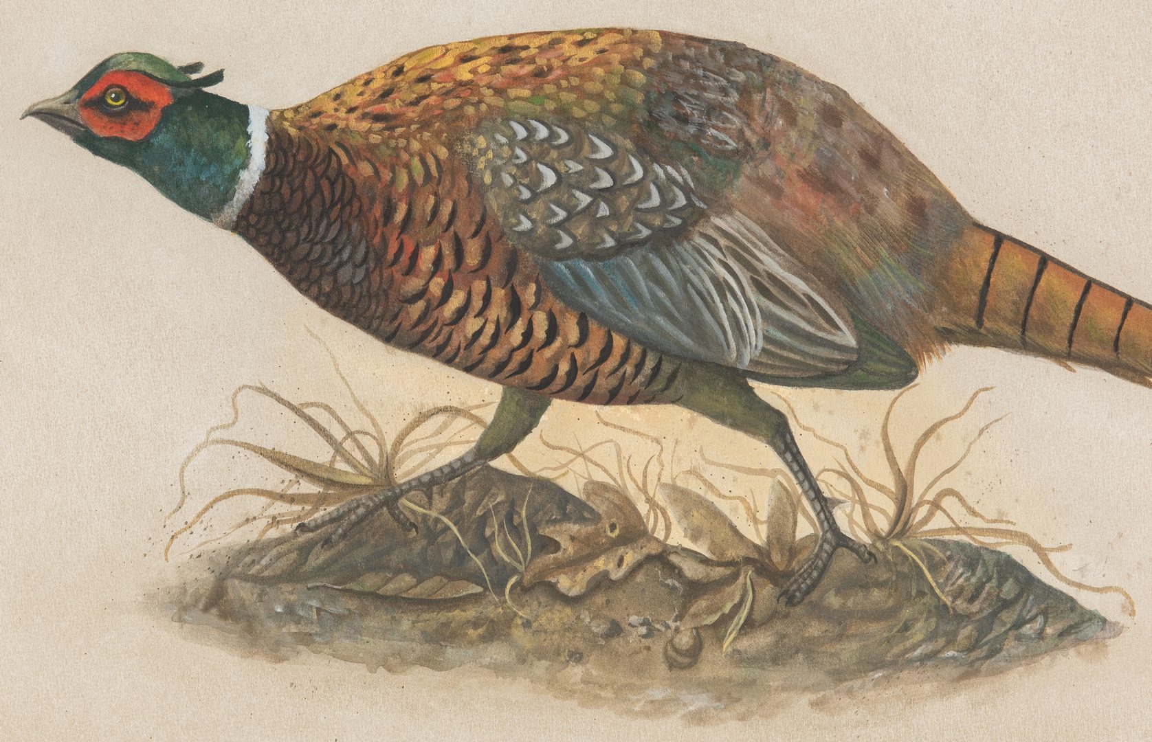 Lot 427: Werner Wildner Watercolor, Pheasant