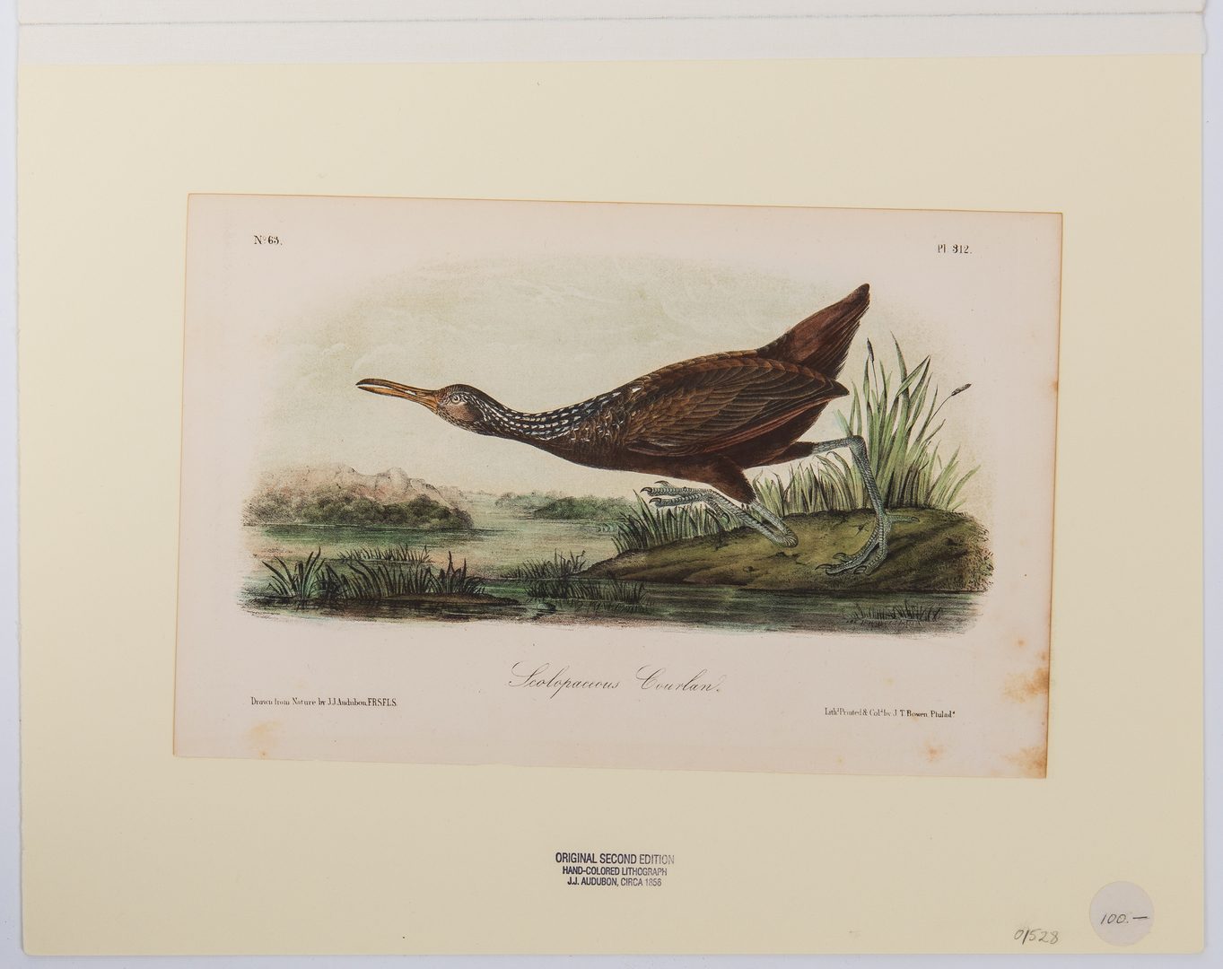 Lot 359: 11 After Audubon Octavo Prints