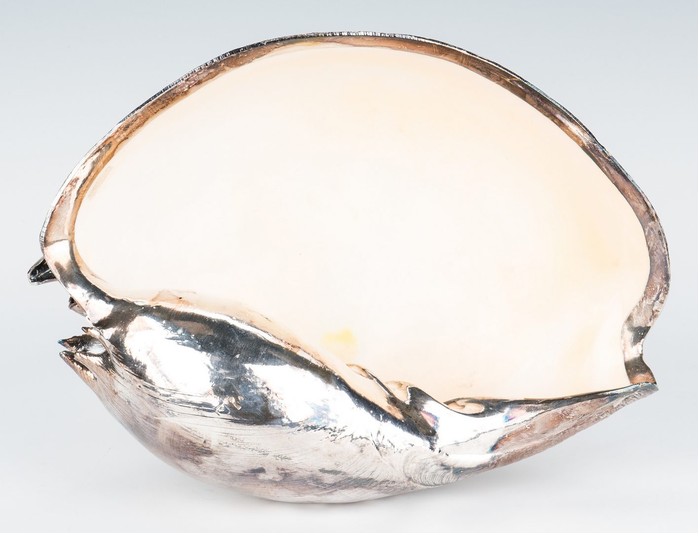 Lot 421: 7 Silver Clad Seashells, incl. Ruzzetti & Gow