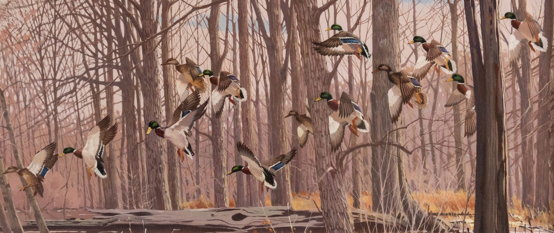 Mallard Duck Art Painting Print 2014 Arkansas Ducks Unlimited Reydell Hole  