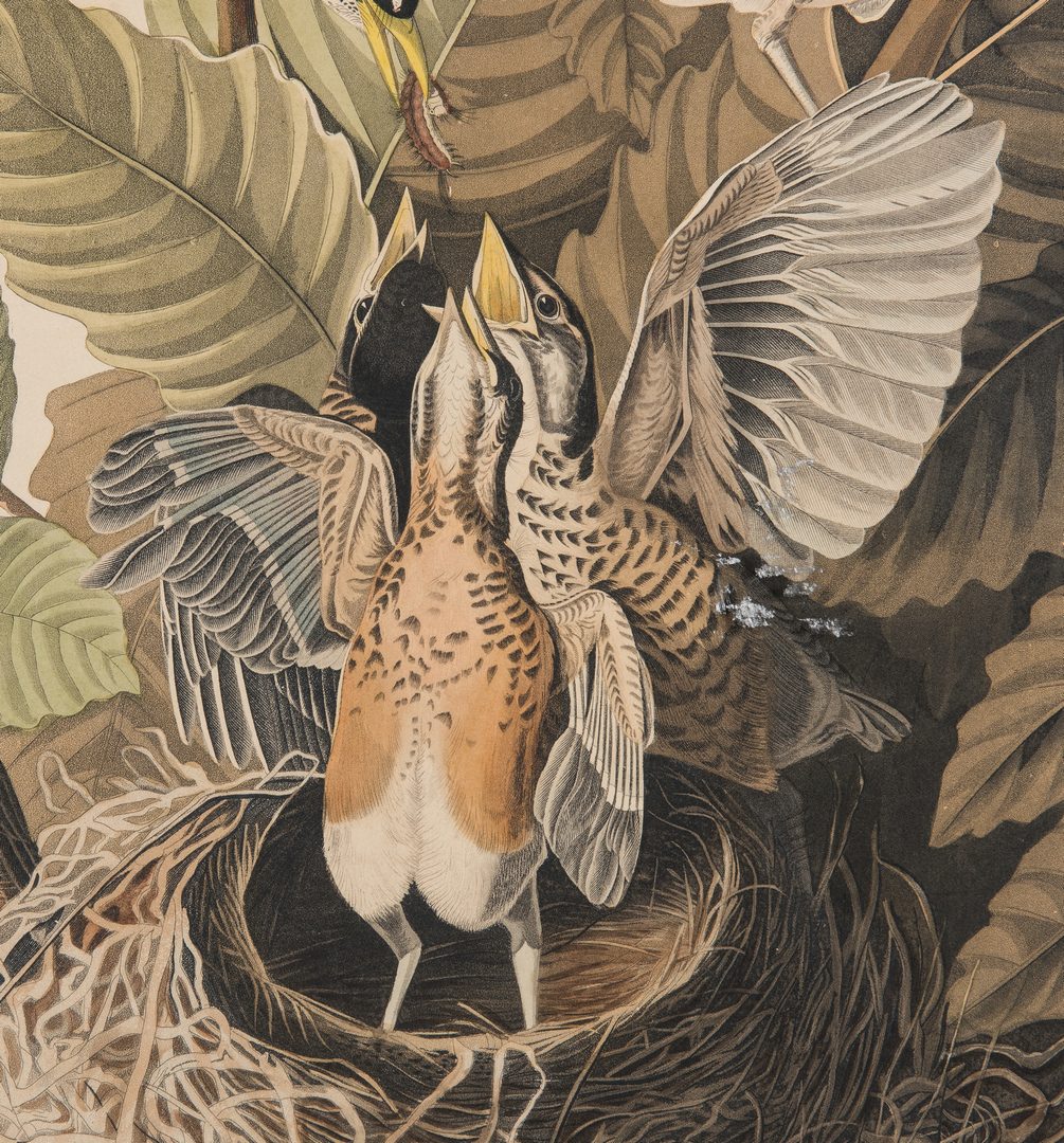 Lot 689: J. Audubon, American Robin, Havell Edition
