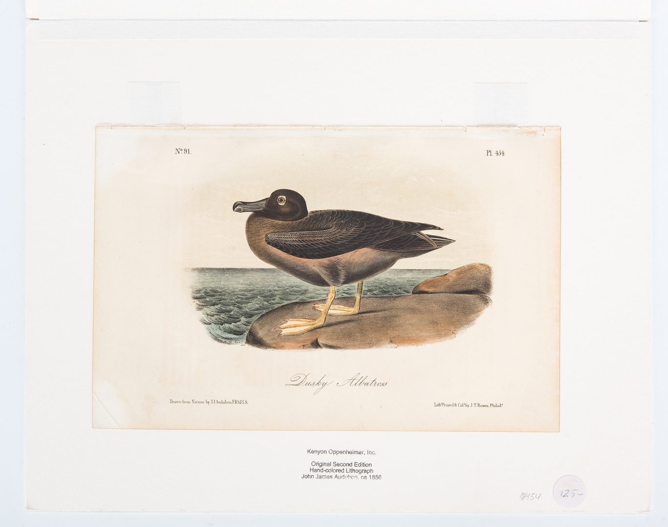 Lot 690: 1 Audubon Havell Folio & 4 Octavos, 5 items