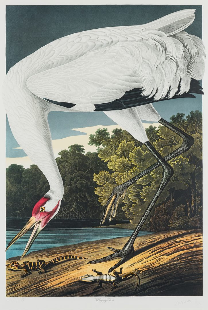 Lot 691: 4 Prints after Audubon, Loates