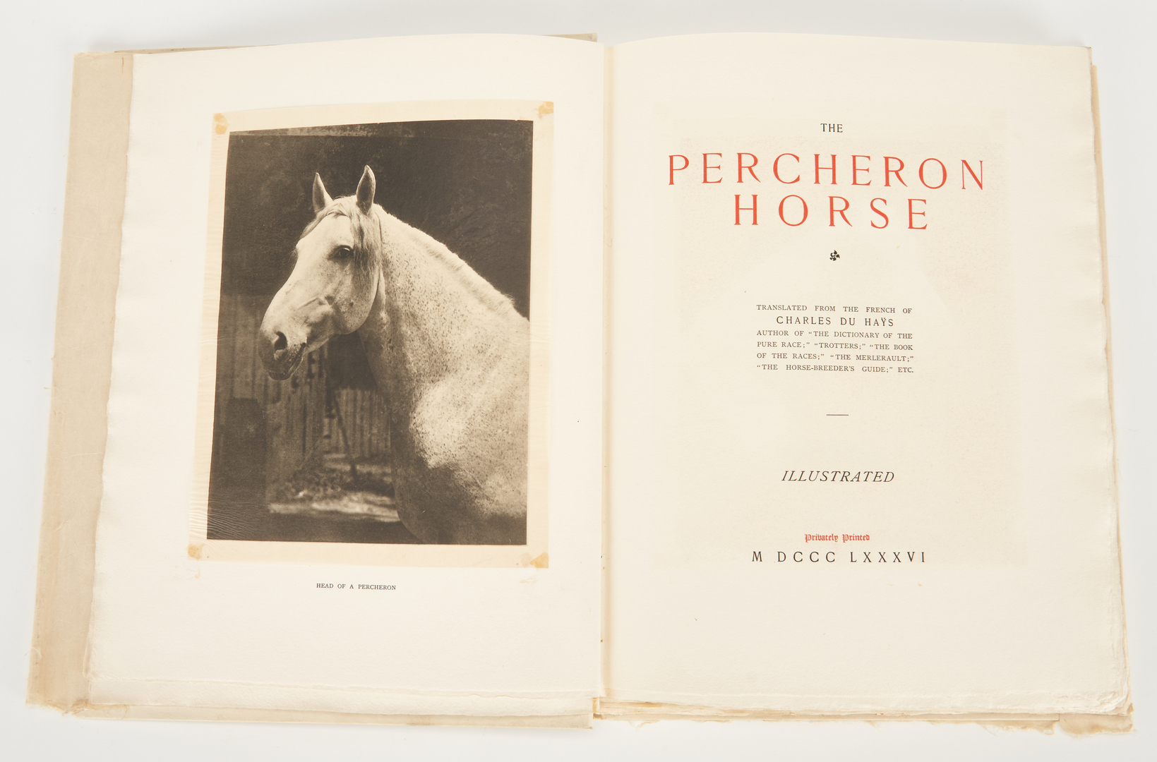 Lot 1017: 6 Horse Prints + 2 Horse Books, 8 items