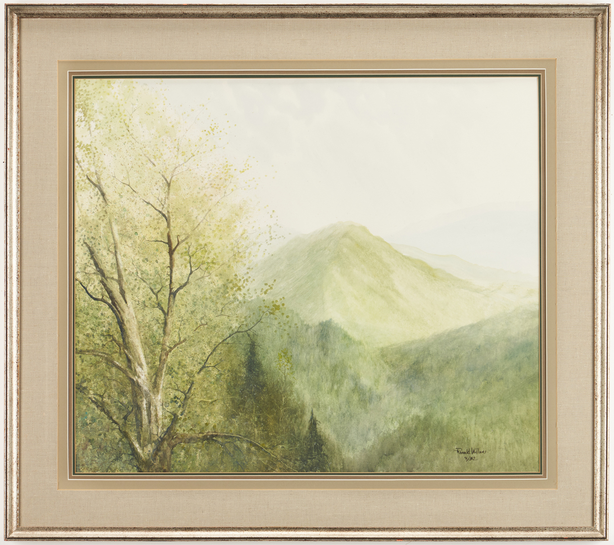 Lot 659: Ron Williams W/C, Springtime Smoky Mountains