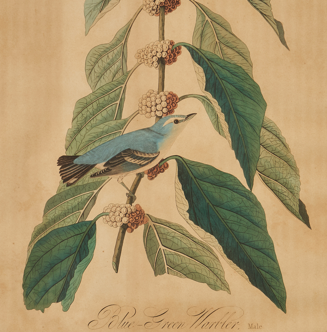 Lot 668: J. Audubon, Blue-Green Warbler, Havell Edition