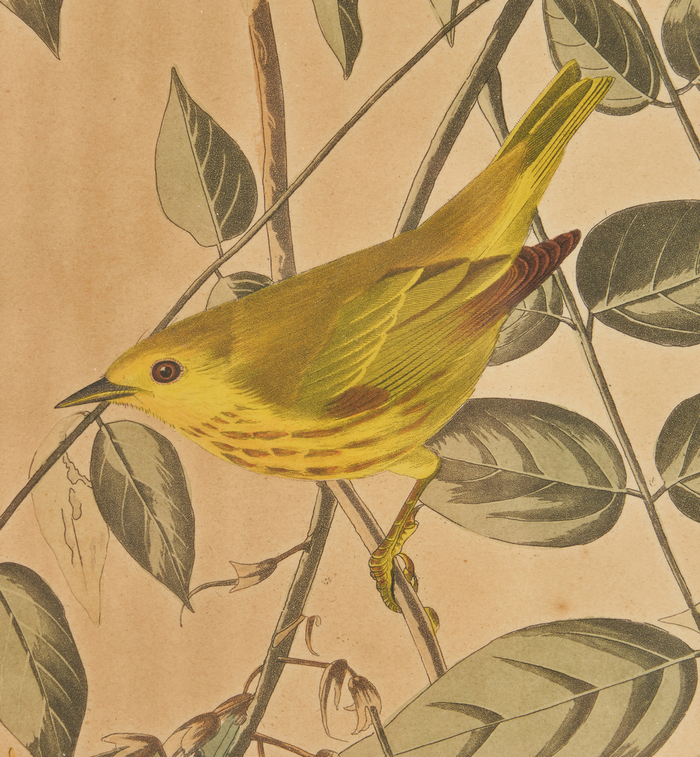 Lot 669: J. Audubon, Yellow-Poll Warbler, Havell Edition