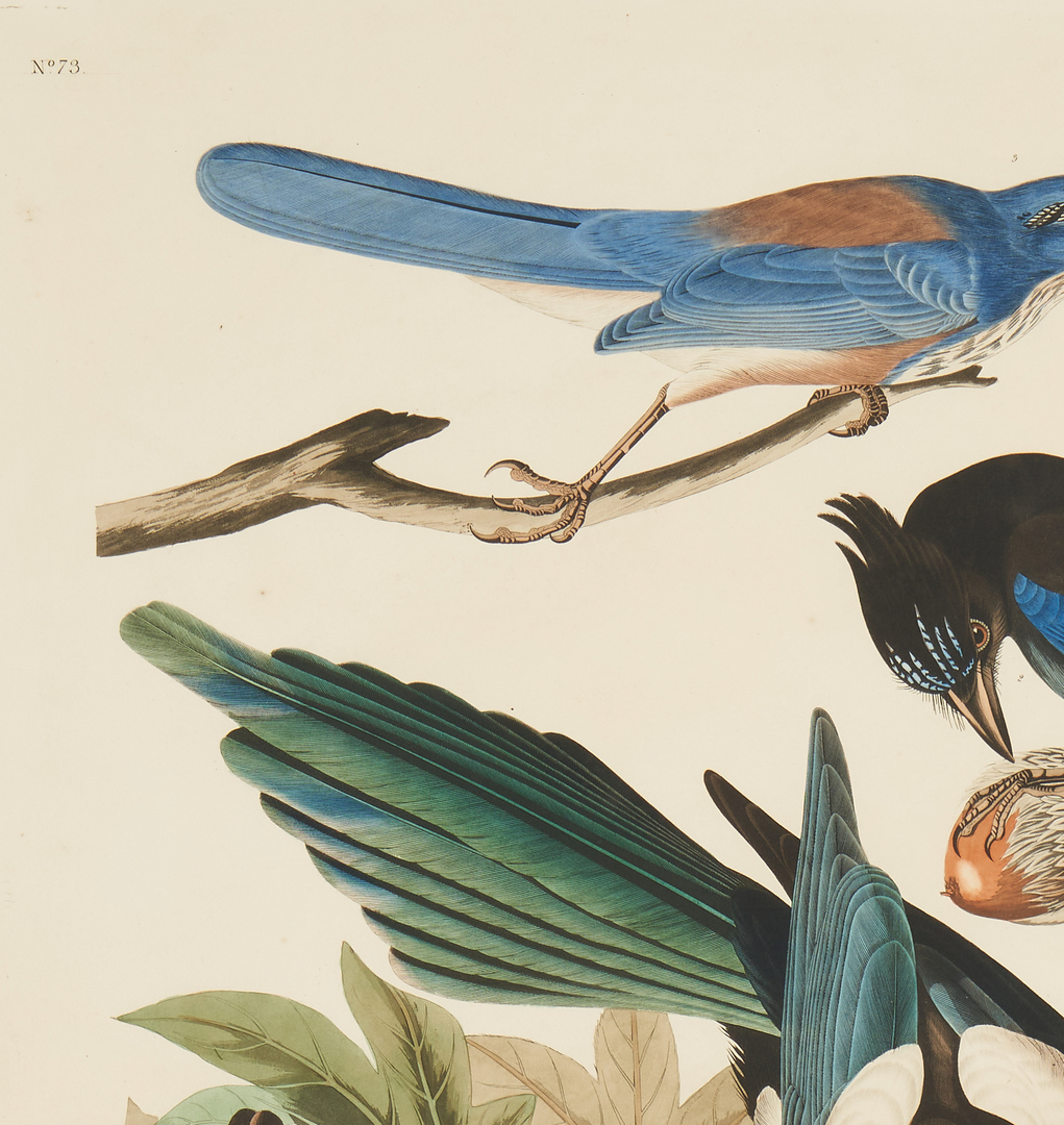 Lot 129: J. Audubon Havell Ed. Yellow-billed Magpie, Stellers Jay, Ultramarine Jay and Clark's Crow
