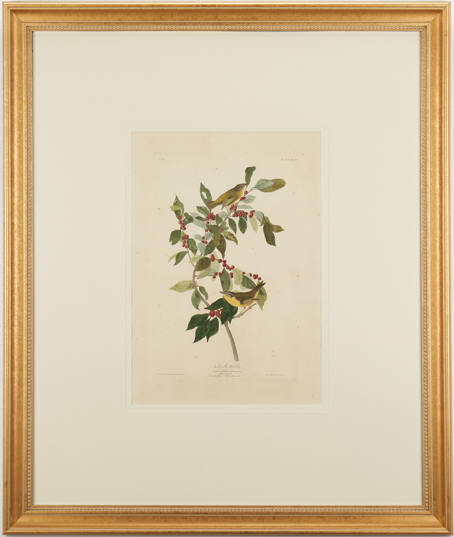 Lot 130: Audubon Havell Ed. Nashville and TN Warblers, Exhibited