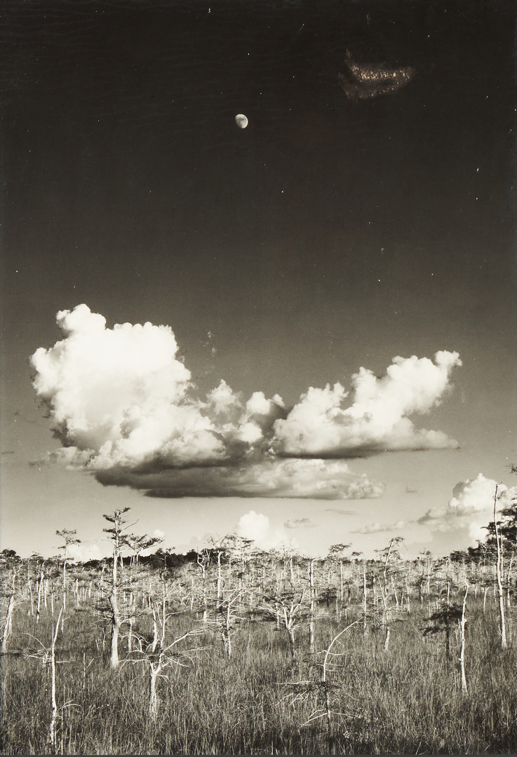 Lot 905: Clyde Butcher Photograph, Moonrise Everglades