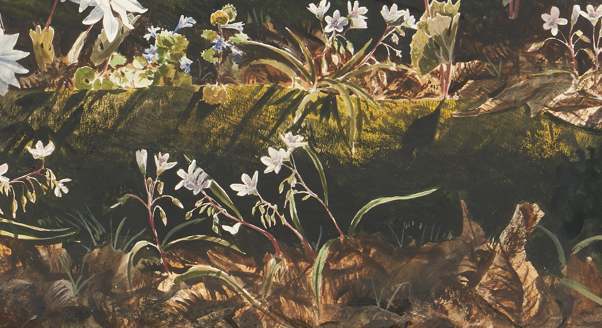 Lot 187: John Chumley Watercolor Woodland Scene, Bloodroot
