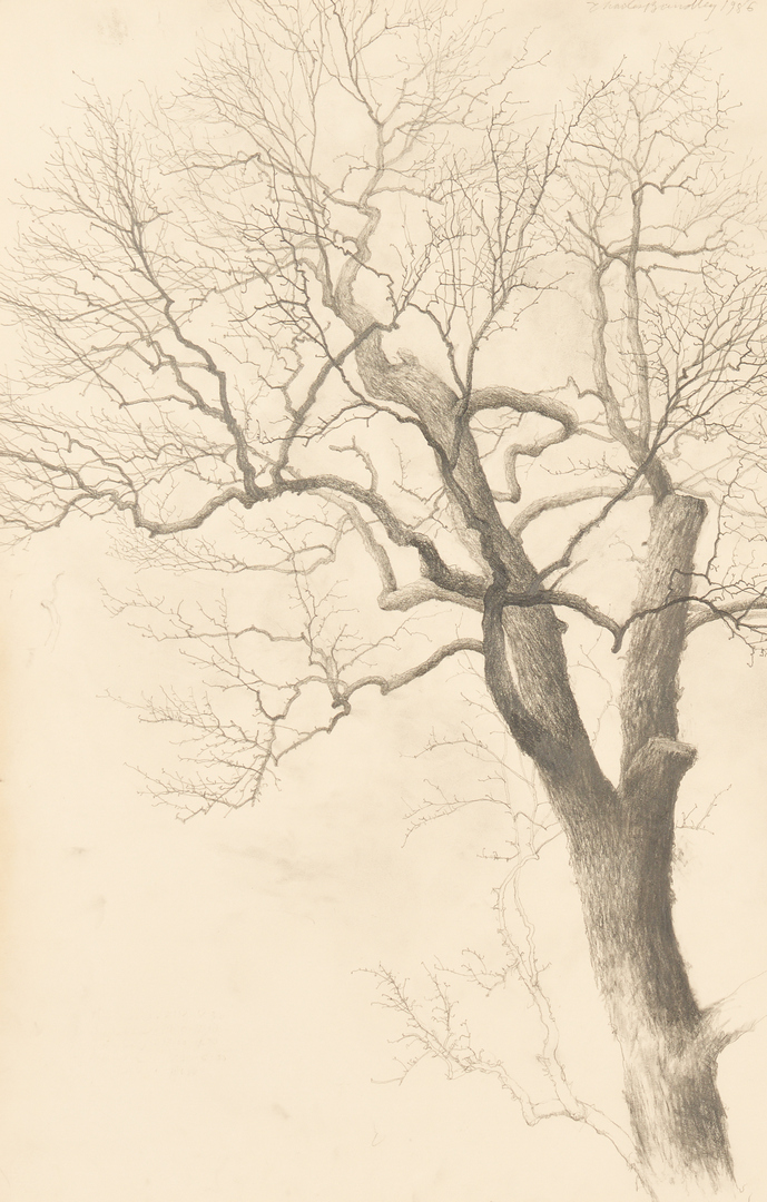 Lot 189: Charles Brindley Graphite Drawing, Study of a Tree