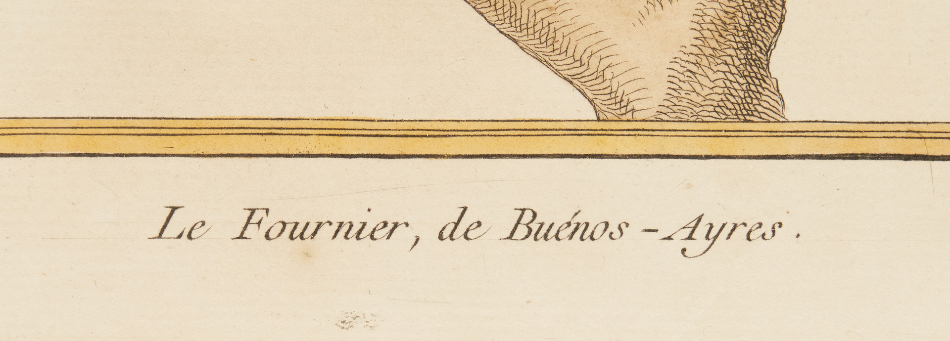 Lot 376: 2 Francois-Nicolas Martinet Bird Engravings