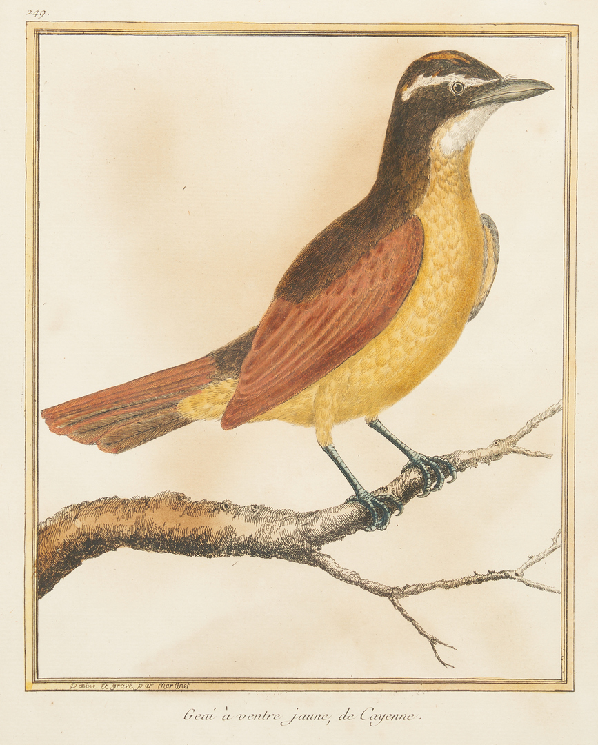Lot 376: 2 Francois-Nicolas Martinet Bird Engravings