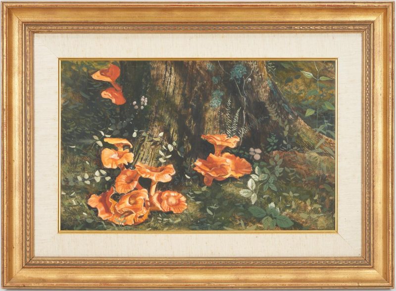 Lot 232: John Chumley Painting,Toadstools in Sunlight, Exhibited