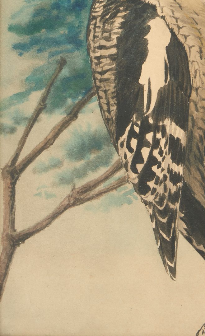 Lot 186: Louis Fuertes Watercolor Painting, Woodpeckers
