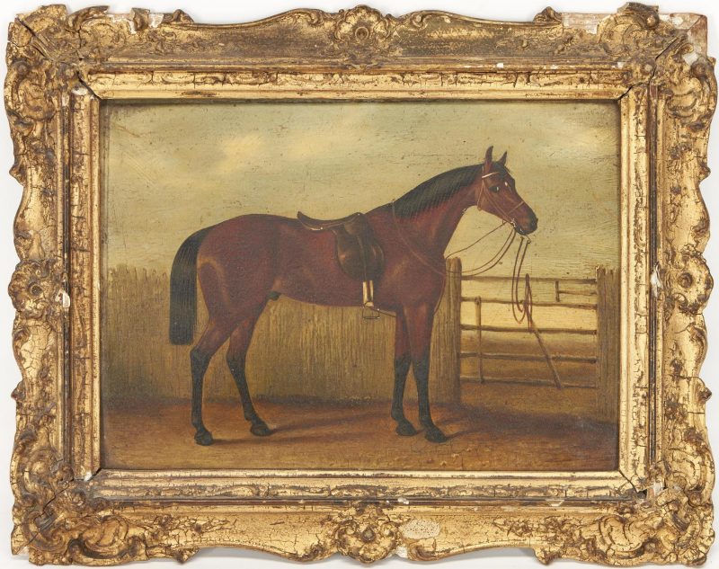 Lot 453: English School O/B Painting of a Horse