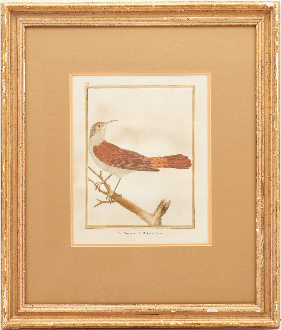 Lot 459: 2 Francois-Nicolas Martinet Bird Engravings
