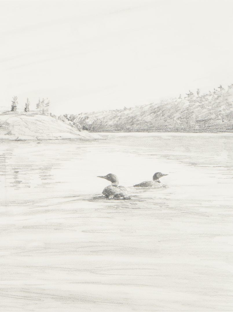 Lot 484: Peter Corbin Landscape Drawing with Ducks