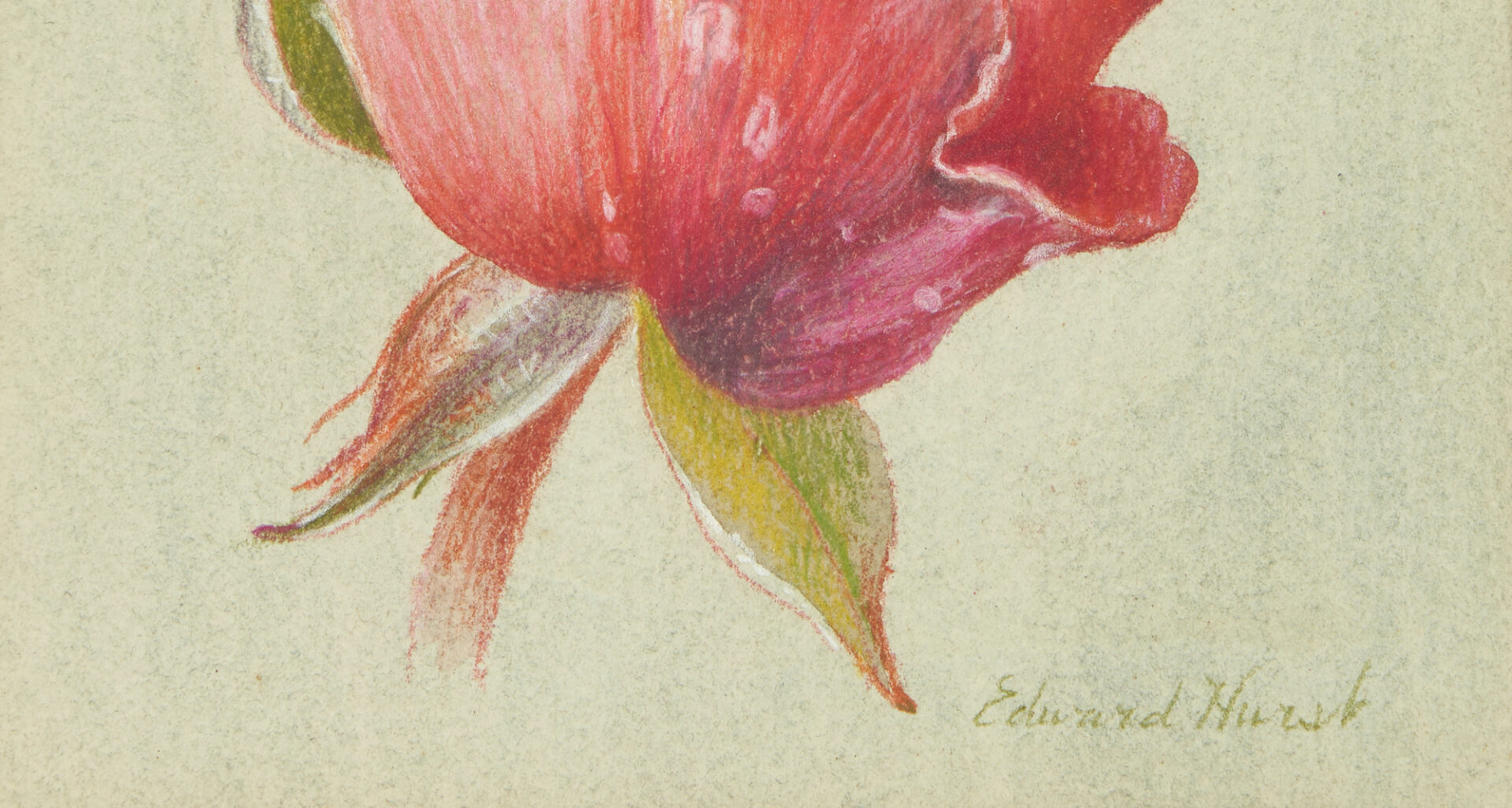 Lot 156: 3 Edward Hurst Pastel Works, Large Still Life & Botanical Studies
