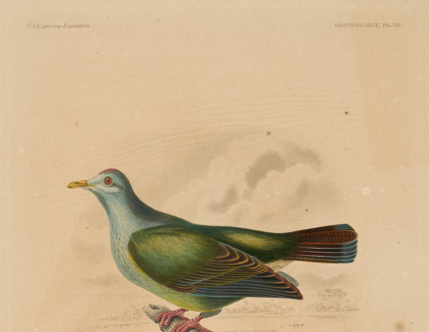 Lot 713: 4 Rare Early Bird Prints from John Cassin's Mammalogy and Ornithology