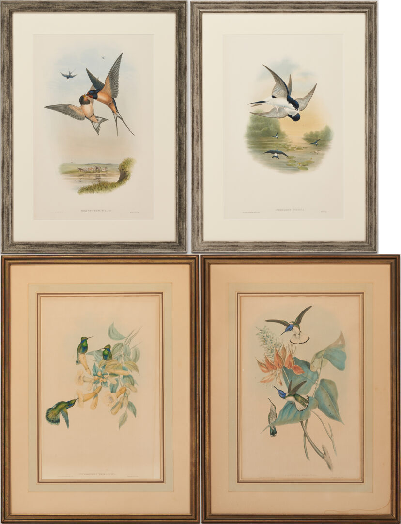 Lot 1089: 4 Gould & Richter Colored Lithographs, Hummingbirds & Birds of Great Britain