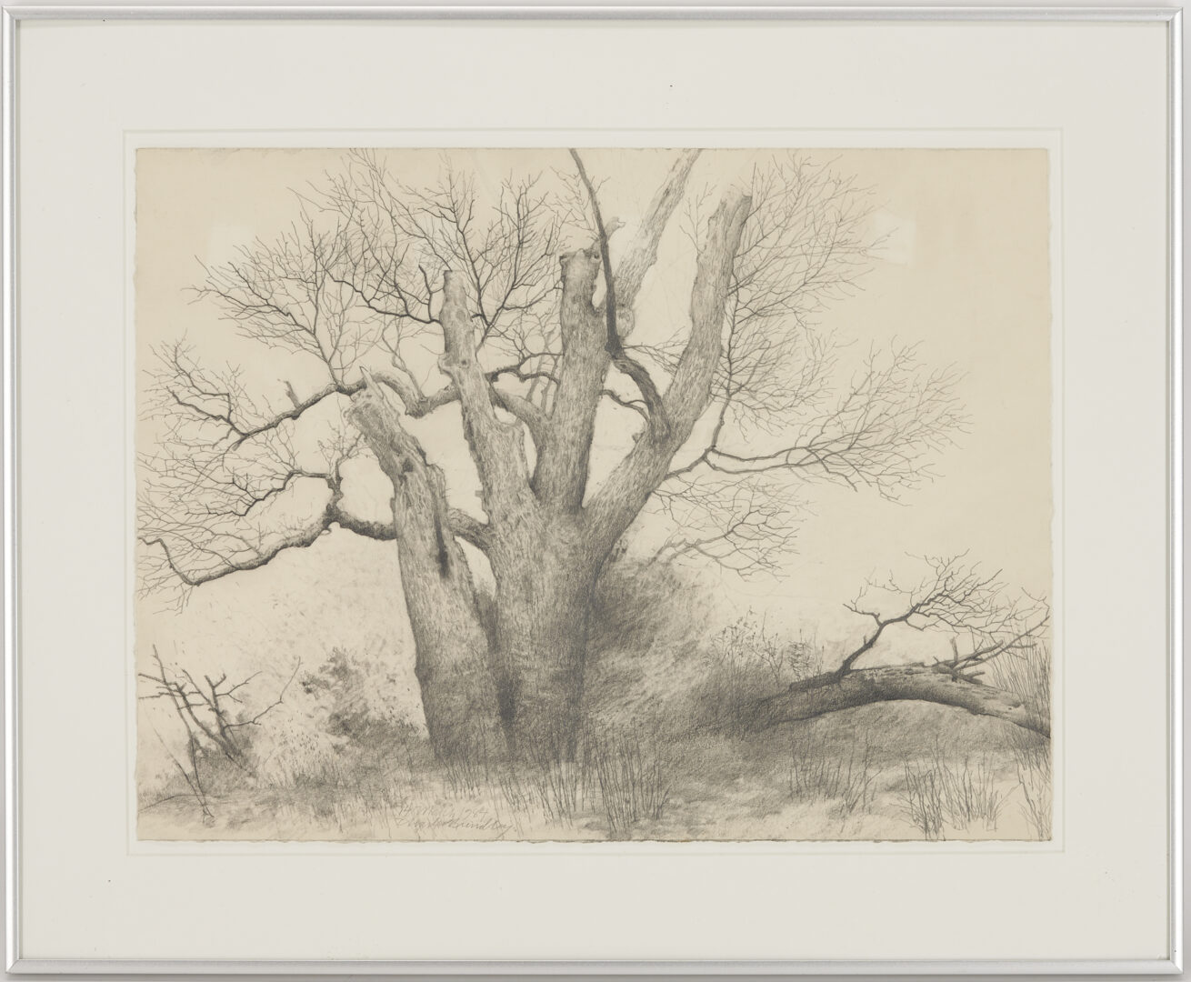 Lot 695: 2 Charles Brindley Tennessee Tree Studies