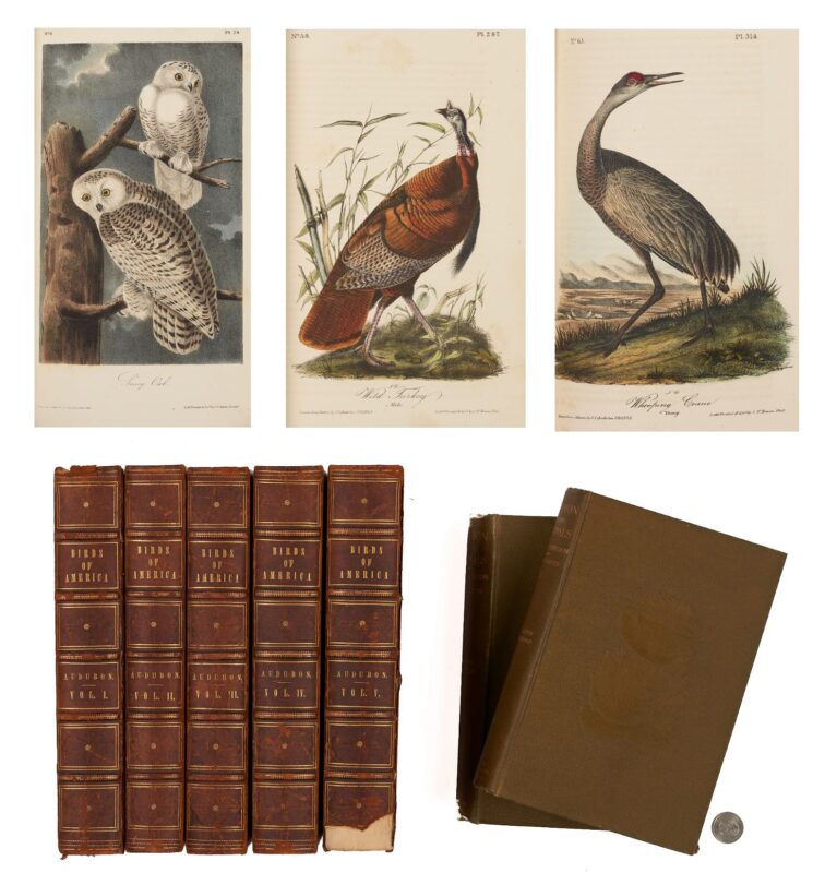 Lot 494: Audubon Birds of America, 1st Octavo Edition; 5 vols plus Journals, ex. J.J. Pringle