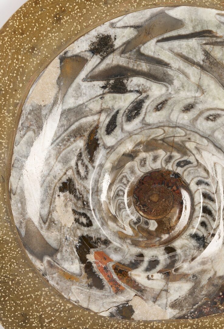 Lot 977: Fossil Collection incl. Ammonoid & Framed Display