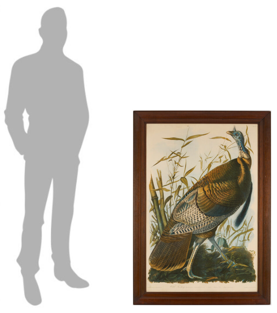 Lot 145: Audubon Wild Turkey from Birds of America, Bien Edition