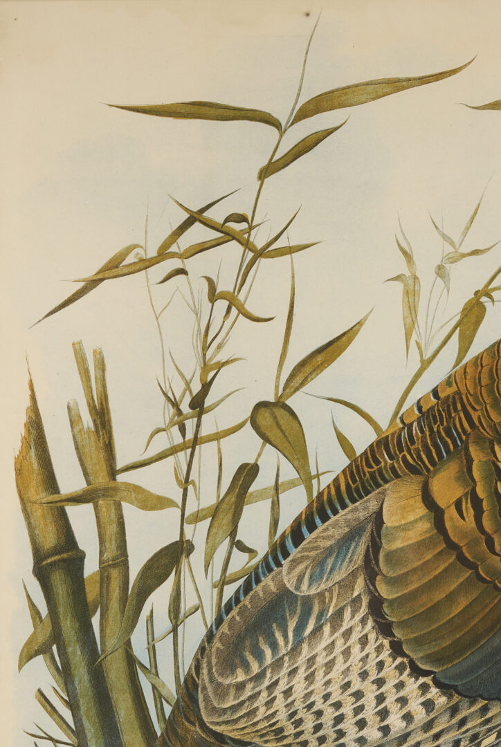 Lot 145: Audubon Wild Turkey from Birds of America, Bien Edition