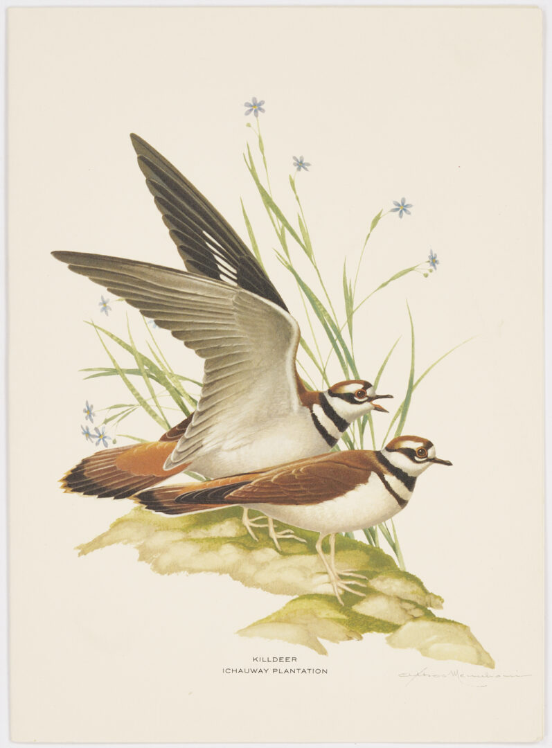 Lot 580: 13 Athos Menaboni Ornithological Christmas Cards for Robert Woodruff