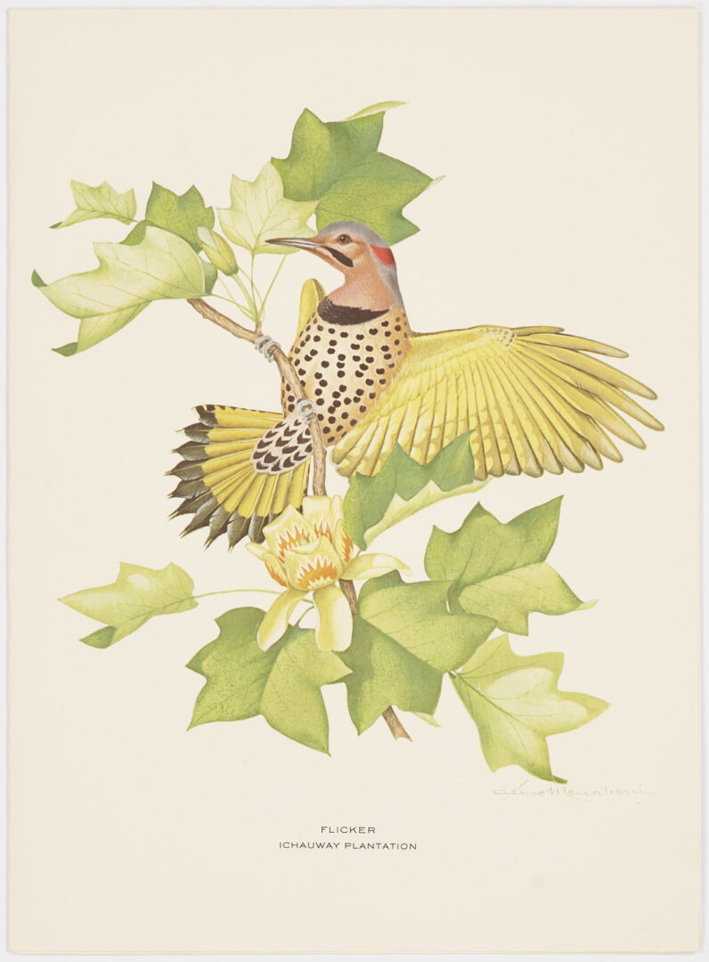 Lot 580: 13 Athos Menaboni Ornithological Christmas Cards for Robert Woodruff