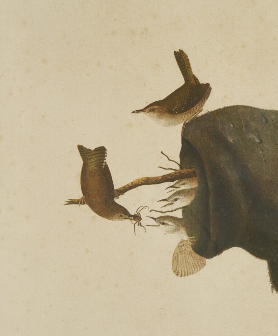 Lot 581: Audubon House Wren from Birds of America, Bien Edition