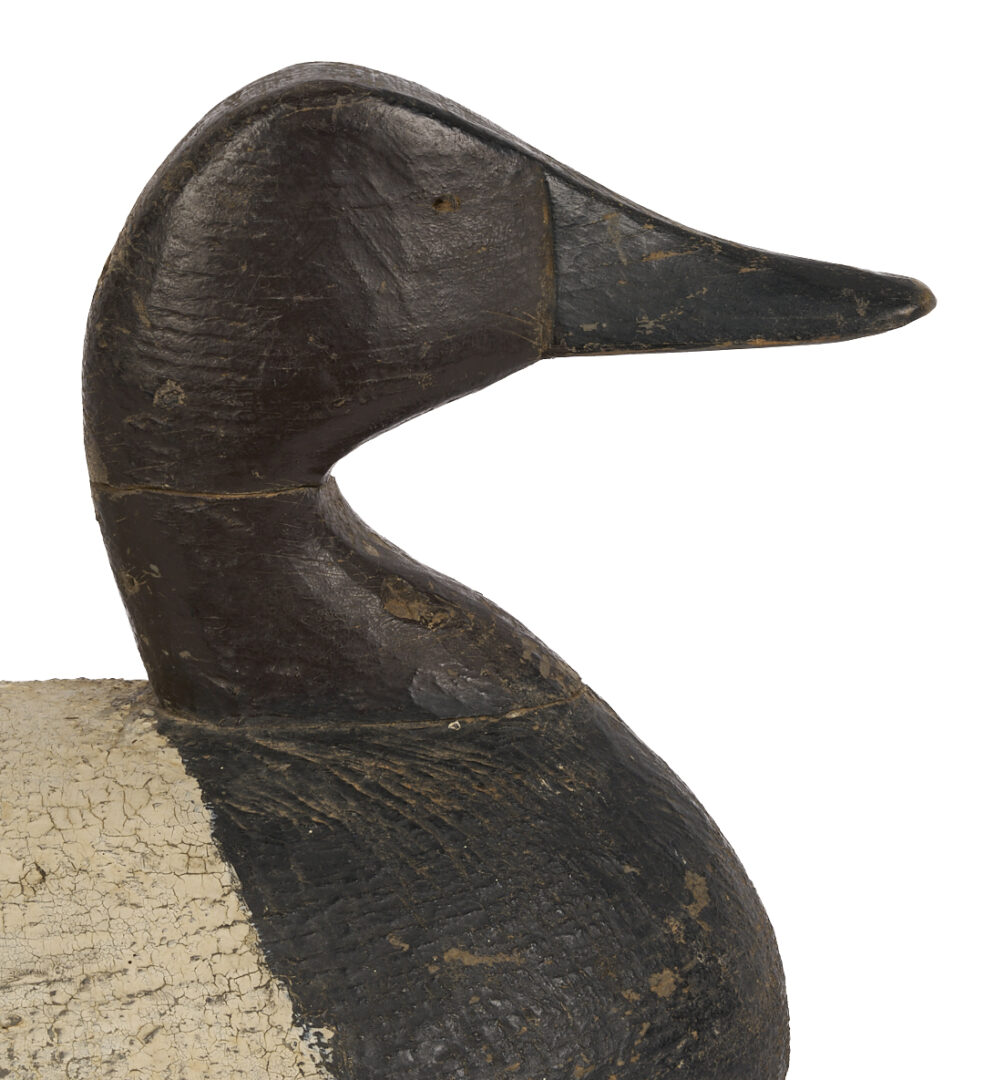 Lot 586: NC Ned Burgess Canvasback Drake Decoy