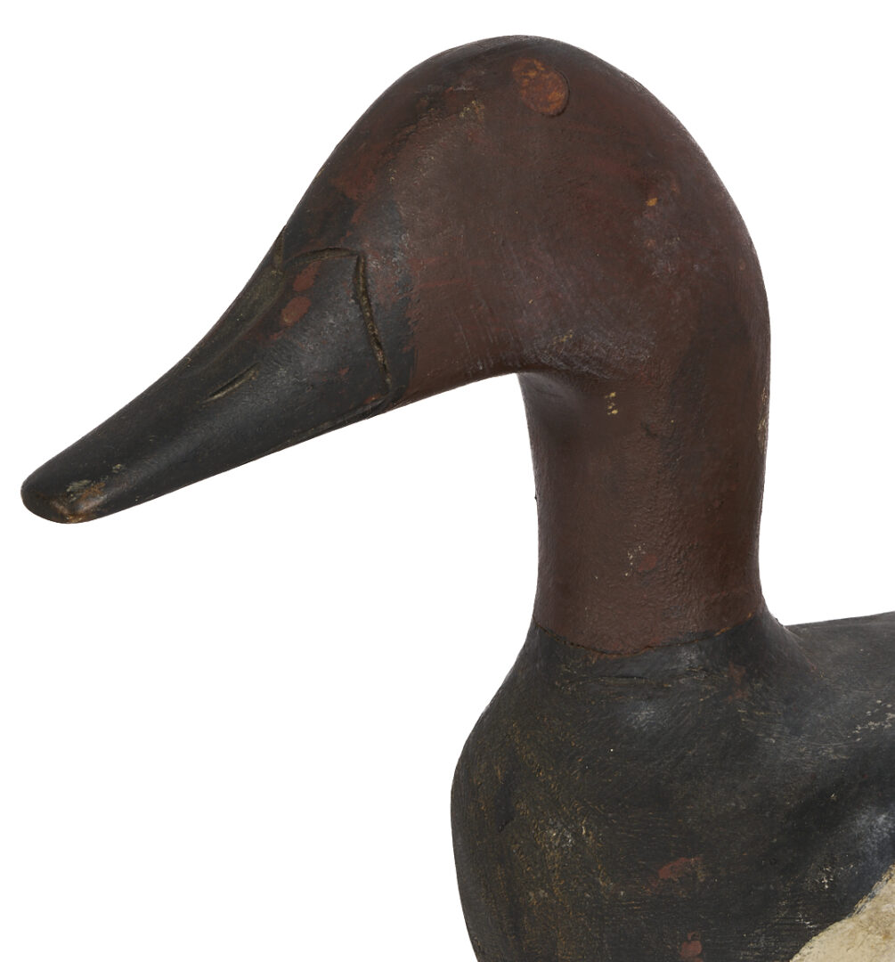 Lot 599: 2 Canvasback Drake Decoys, incl. Oversized