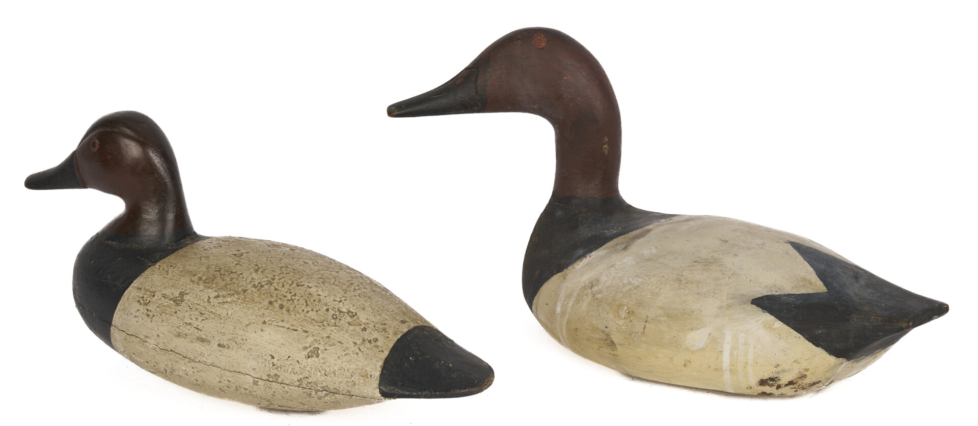 Lot 599: 2 Canvasback Drake Decoys, incl. Oversized