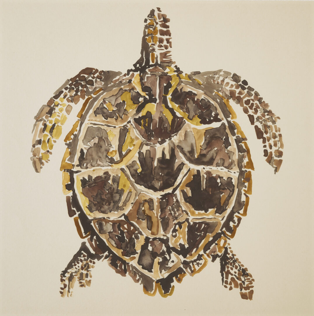 Lot 975: Watercolor Painting of a Sea Turtle, Manner of Walter Inglis Anderson