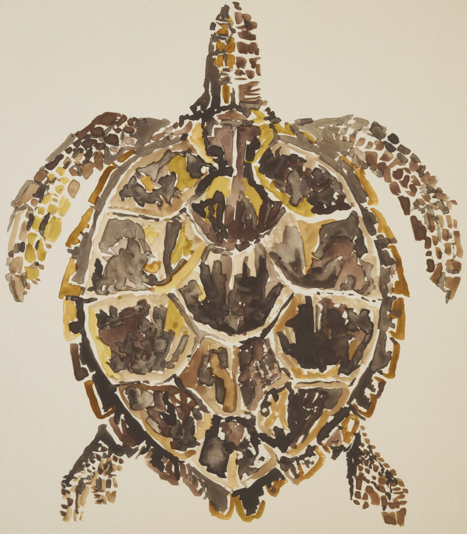 Lot 975: Watercolor Painting of a Sea Turtle, Manner of Walter Inglis Anderson