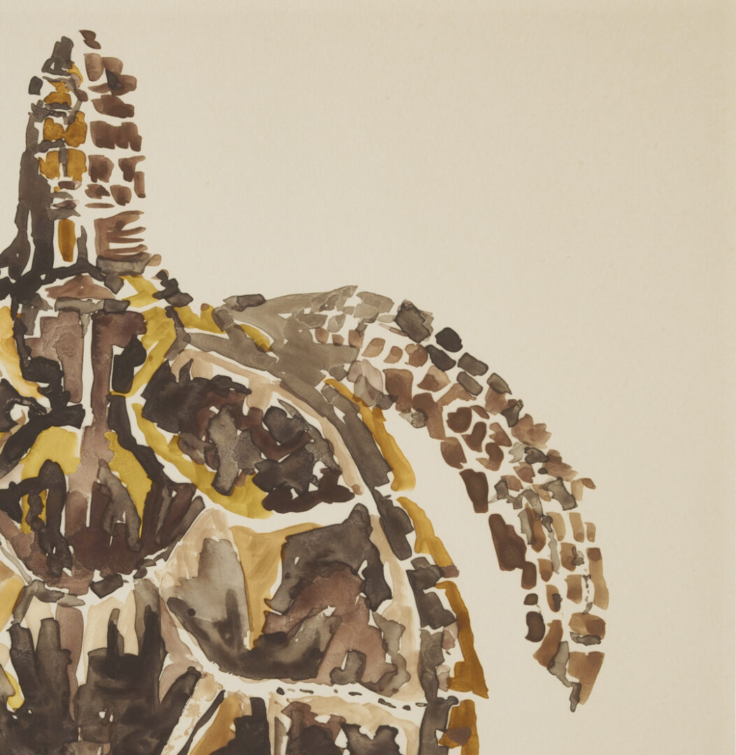 Lot 975: Watercolor Painting of a Sea Turtle, Manner of Walter Inglis Anderson