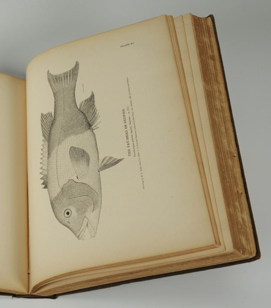 Lot 160: Rare book on American Fish, 277 plates