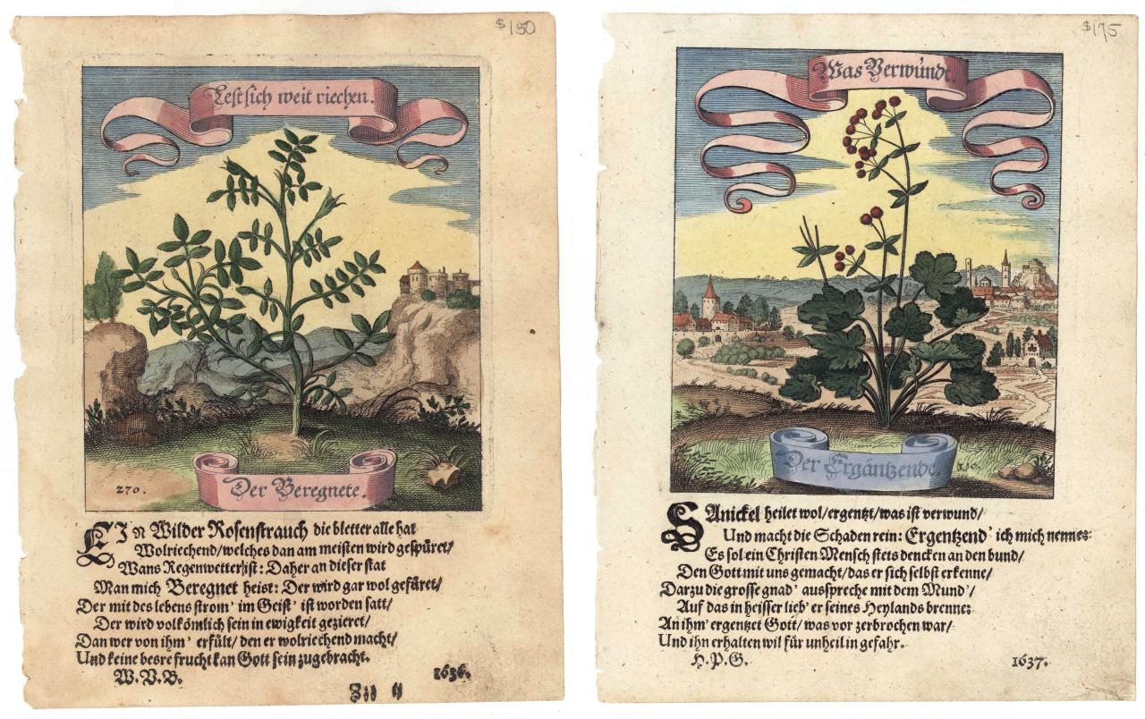 Lot 537: 21 Matthias Merian Garden Engravings 1664 and 1714
