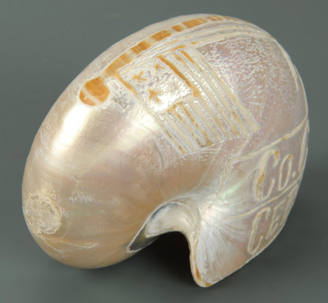 Lot 615: Spanish American War Shell, 1st Tennessee Co. C