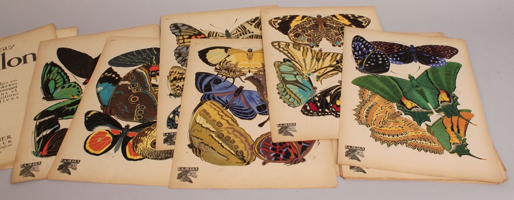 Lot 154: E. A. Seguy portfolio, Papillons