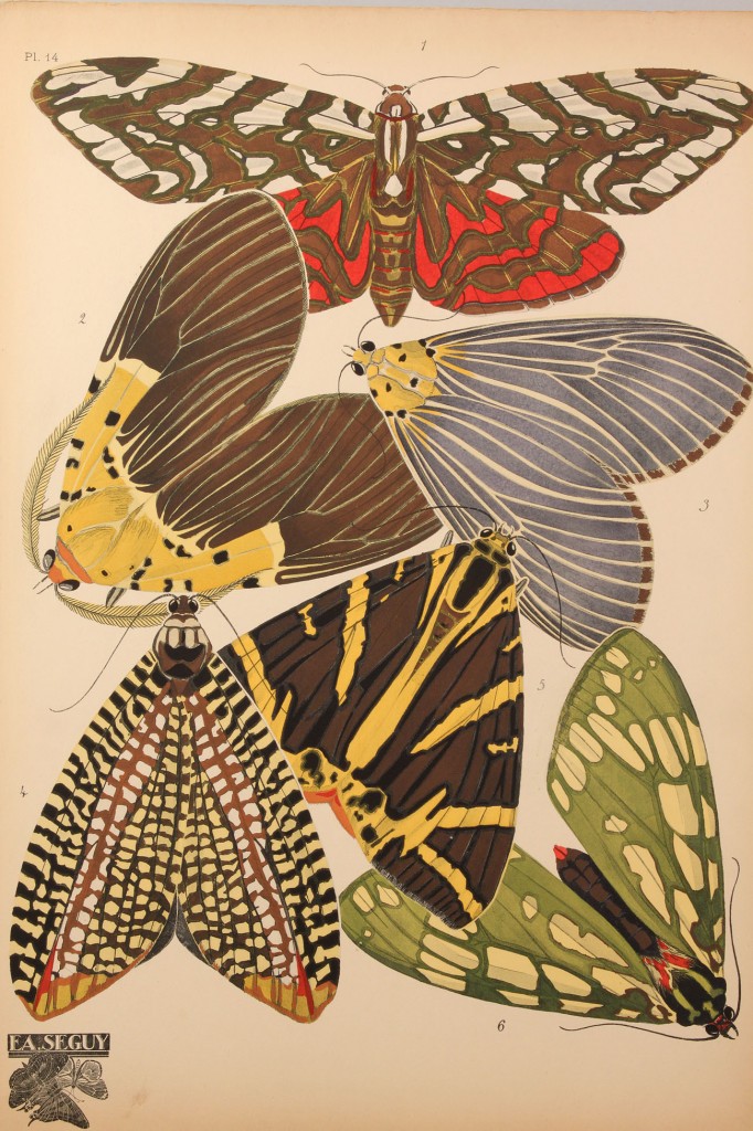 Lot 154: E. A. Seguy portfolio, Papillons