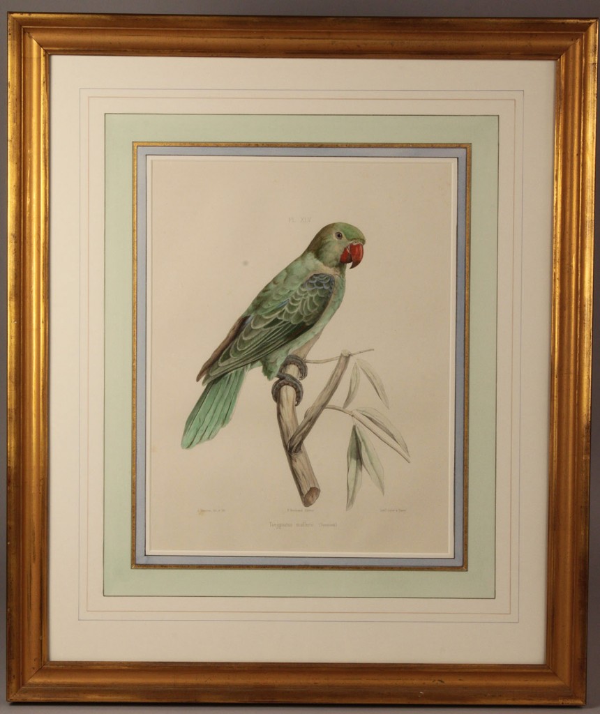 Lot 466: Pair of French Bird Lithographs