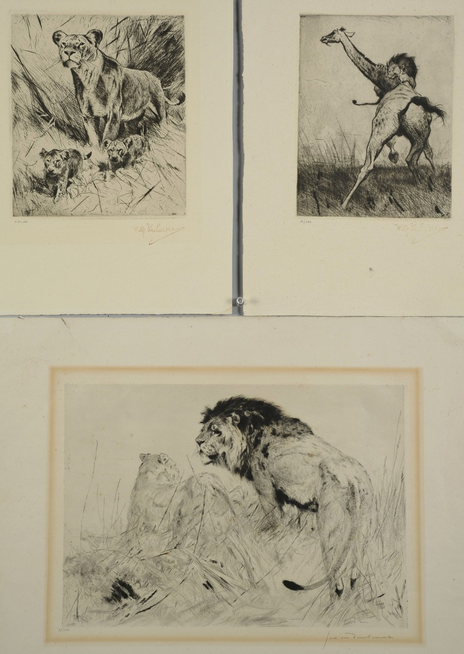 Lot 527: 3 Wilhelm Kuhnert lion prints